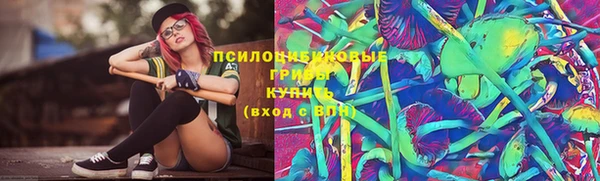 спайс Арсеньев